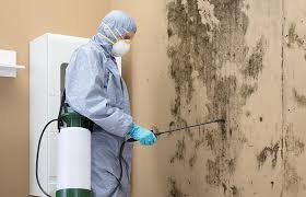 Best Dehumidification Services  in Iceville, AL